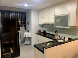 Royale Mansions (D15), Apartment #461095961